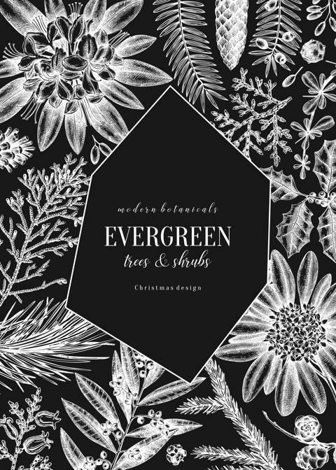 Christmas greeting card or invitation. Winter design on chalkboard. Vector frame with hand drawn winter flowers, conifers and evergreen plants. Vintage botanical background. Christmas template.  